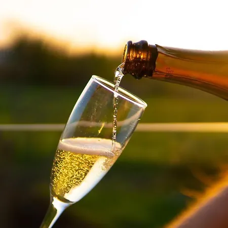 Maison d'hôtes Quinta Donas Anadia