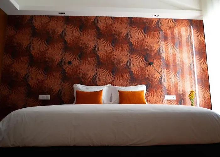 Quinta Donas Πανσιόν Anadia